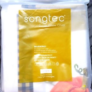 Fall pillow covers 2 pack